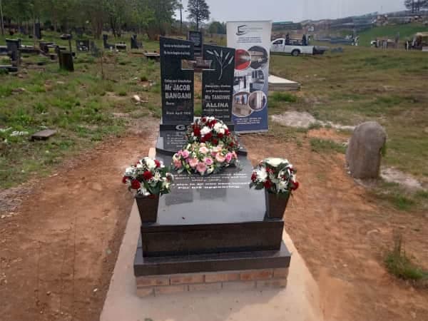 V-CROSS